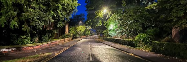 Moody shot of empty tree-lined street
