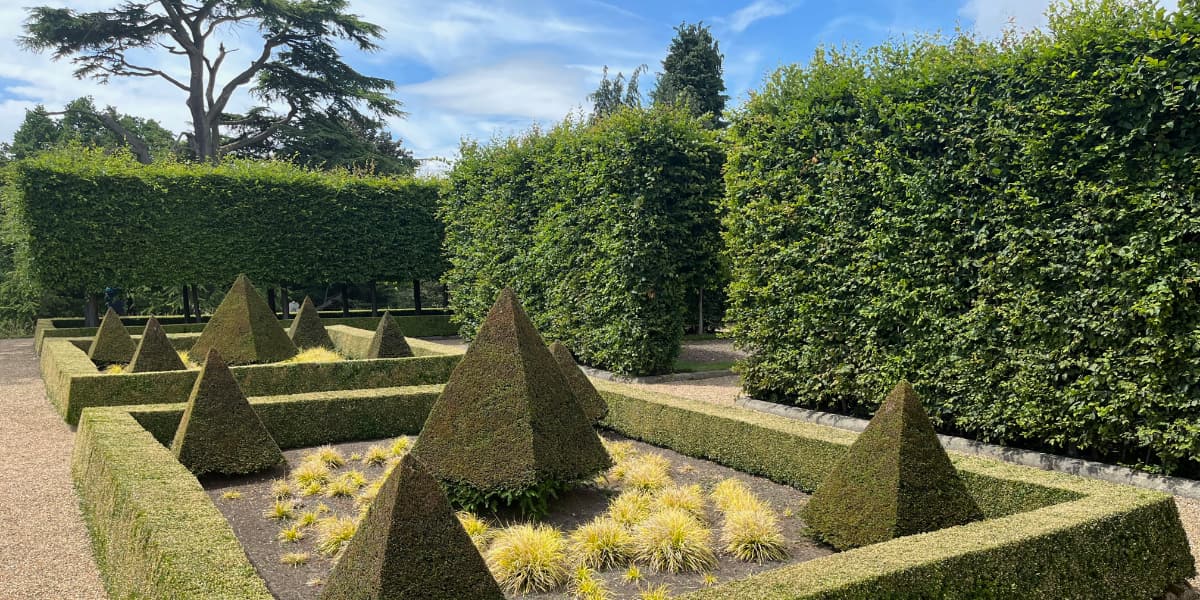 Pyramid hedge shapes in a mansion house garden.